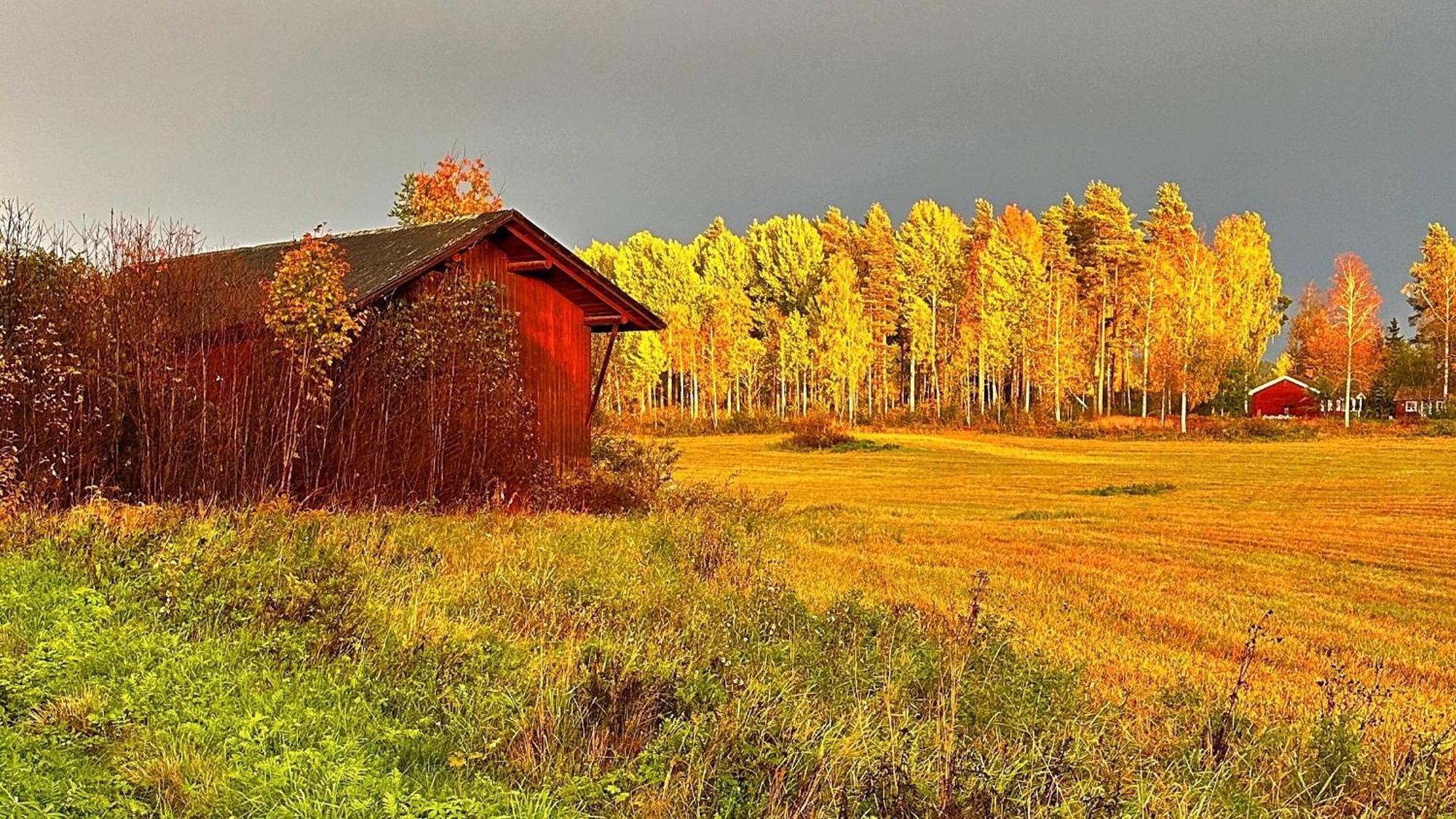 Отель Kullerbacka Gasthus Segersta Экстерьер фото